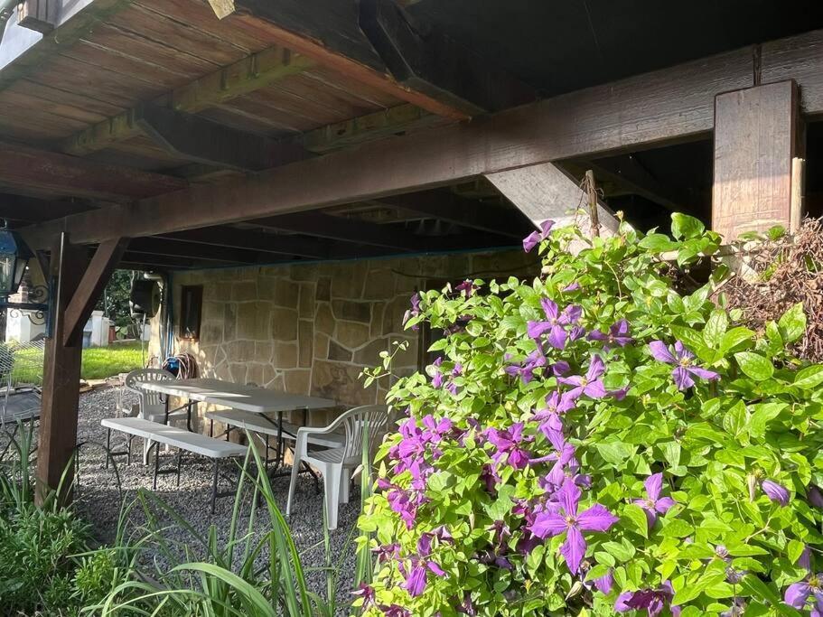 Studio Renove Rdc Terrasse Wepion Namur  Exterior foto